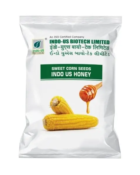 Indo Us Honey Sweet Corn Seeds – High-Yield, Golden Yellow Cobs 1