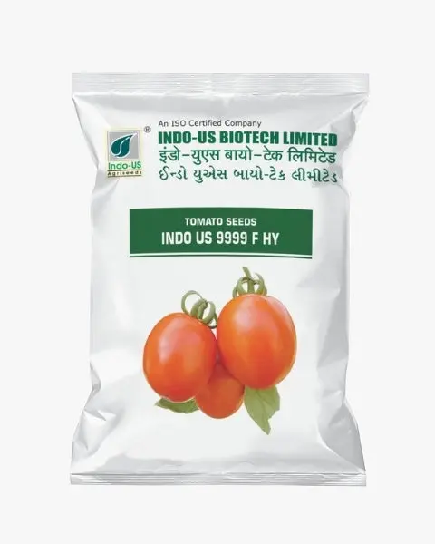 Indo Us Tomato 9999 F1 Hy 1