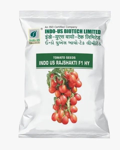 Indo Us Tomato Rajshakati F1 Hy 1