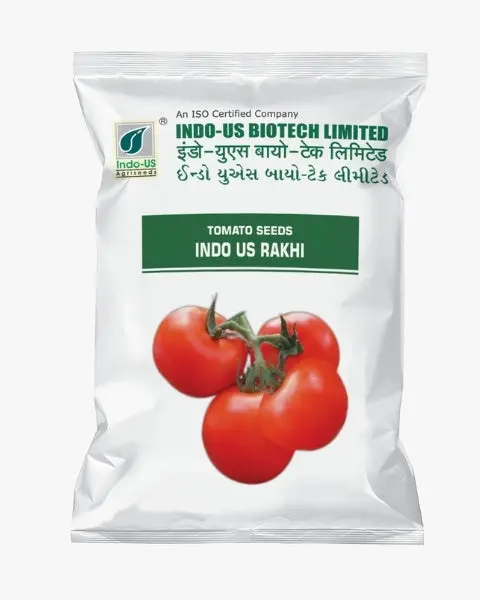 Indo Us Tomato Rakhi Op 1