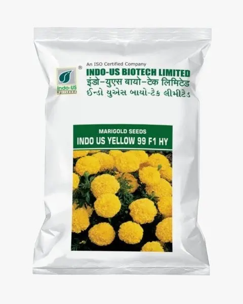Indo Us Yellow 99 F1 Hy Marigold 1