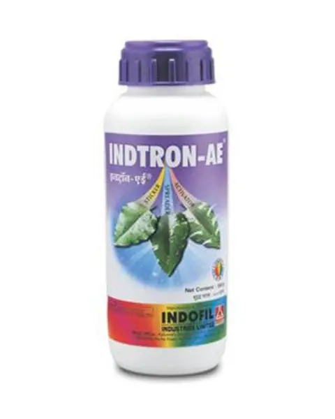 Indofil Indtron-Ae 1