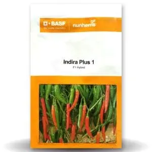 Indira Plus 1 Chilli 1