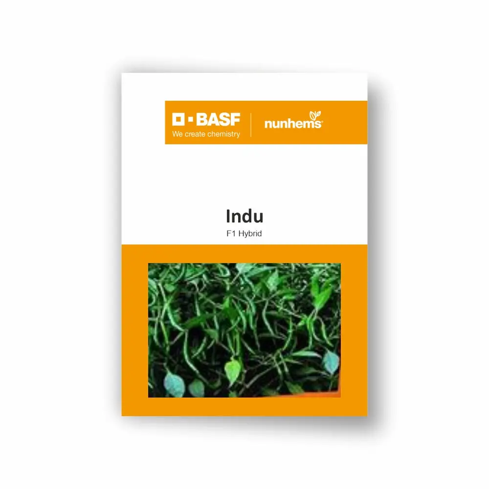 Indu F1 Chilli Seeds 1