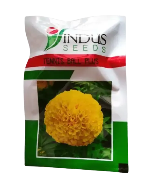 Indus Tennis Ball Plus Seeds 1