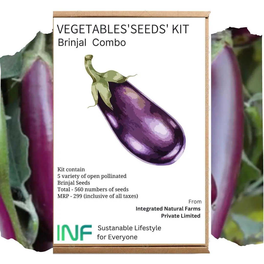 Inf 5 Variety Brinjal Combo Seeds 1