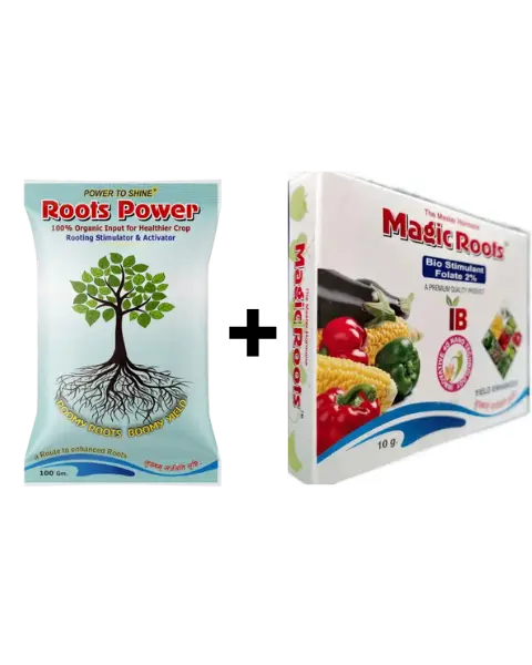 Infinite Combo (Magic Roots + Roots Power) 1