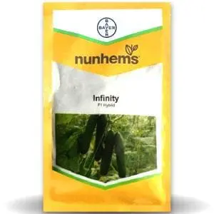 Infinity F1 Cucumber 1
