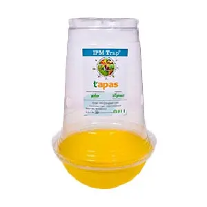 Fruit Fly Trap- Sustainable Fruit Fly Control (Ipm Suitable) | Tapas 1