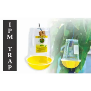 Fruit Fly Trap- Sustainable Fruit Fly Control (Ipm Suitable) | Tapas 2