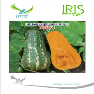 Iris Hybrid Fruit Seeds F1 Hybrid Butternut Nikki 1