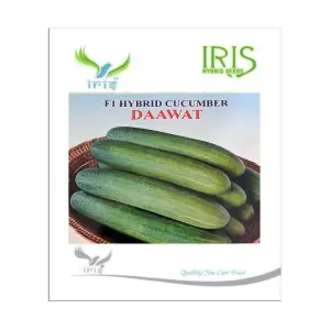 Iris Hybrid Vegetable Seeds F1 Hybrid Cucumber Dawat 1