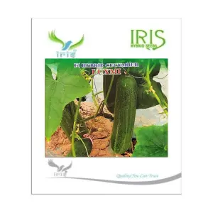 Iris Hybrid Vegetable Seeds F1 Hybrid Cucumber Luxmi 1