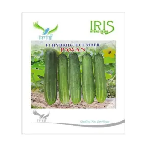 Iris Hybrid Vegetable Seeds F1 Hybrid Cucumber Pawan 1