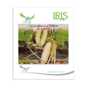 Iris Hybrid Vegetable Seeds F1 Hybrid Cucumber Rahim 1