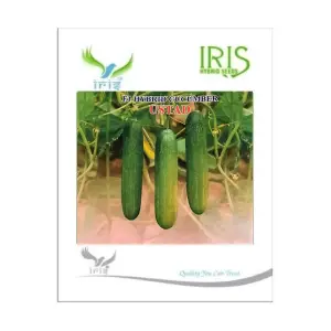 Iris Hybrid Vegetable Seeds F1 Hybrid Cucumber Ustad 1