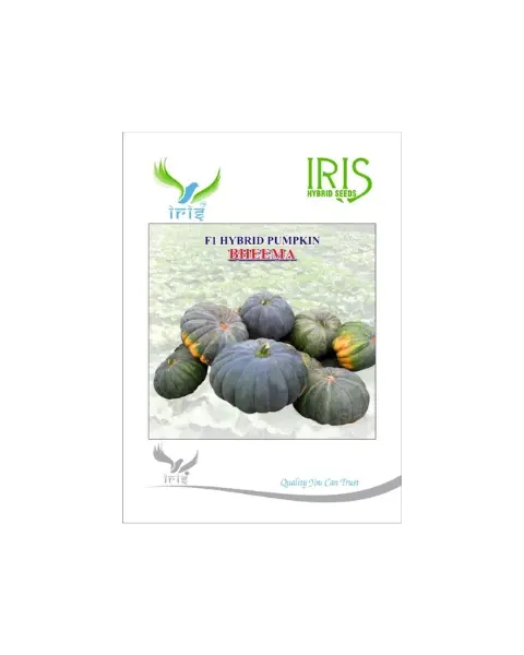 Iris Hybrid F1 Bheema Pumpkin 1