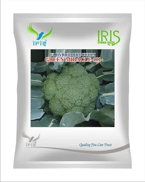 Iris F1 Broccoli Green Miracle Seeds – Good For Shipping & Disease Tolerant 1