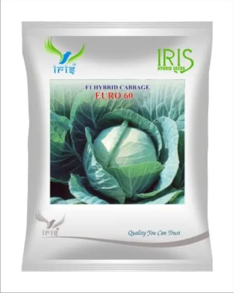 Iris Hybrid F1 Cabbage - Euro 60 1