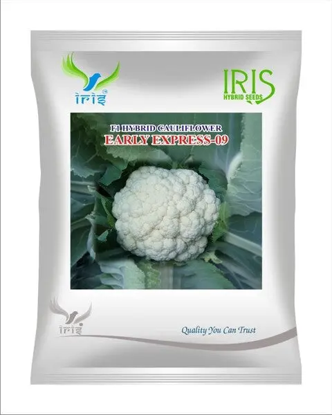 Iris Hybrid F1 Cauliflower Early Express 1