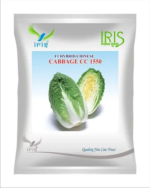 Iris Hybrid F1 Chinese Cabbage Cc-1550 1