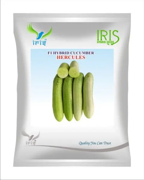 Iris Hybrid F1 Cucumber  Herculues 1
