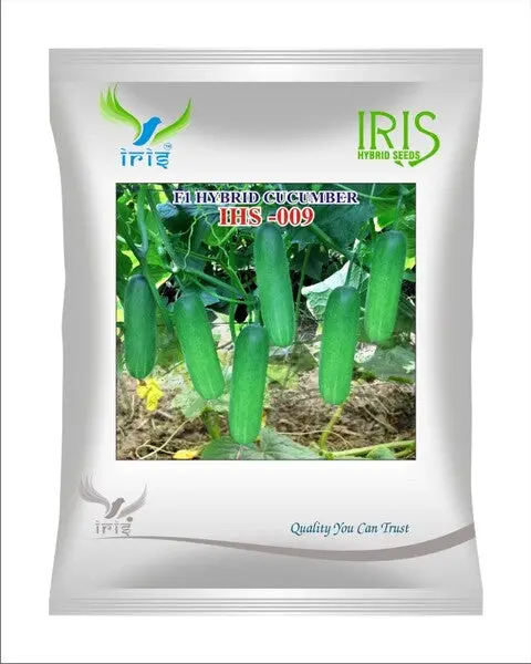 Iris Hybrid F1 Cucumber  Ihs-009 1