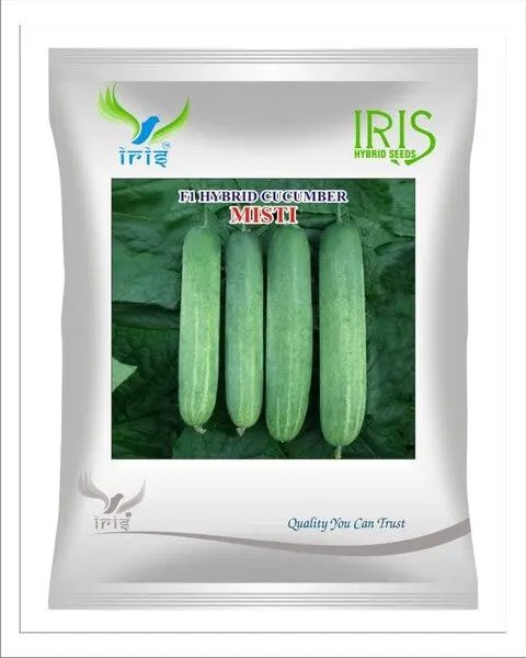 Iris Hybrid F1 Cucumber  Misti 1