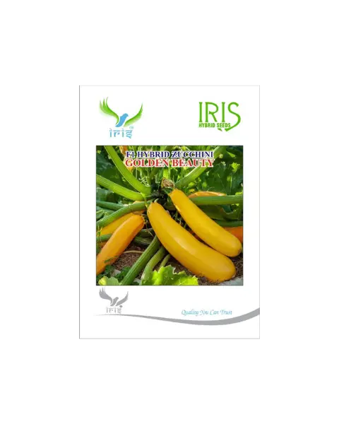 Iris Golden Beauty- Hybrid F1 Zucchini Seeds For High Yield & Sweet Fruits 1