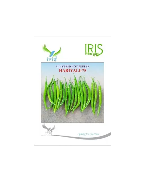Iris Hybrid F1 Hariyali-75 Hot Pepper 1