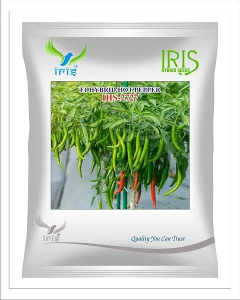 Iris Hybrid F1 Hot Pepper Ihs-2727 1