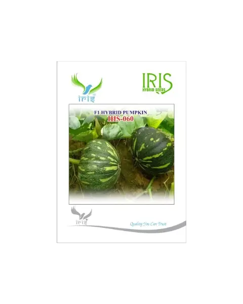 Iris Hybrid F1 Ihs-060 Pumpkin 1