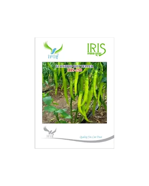 Iris Hybrid F1 Ihs-250 Hot Pepper 1