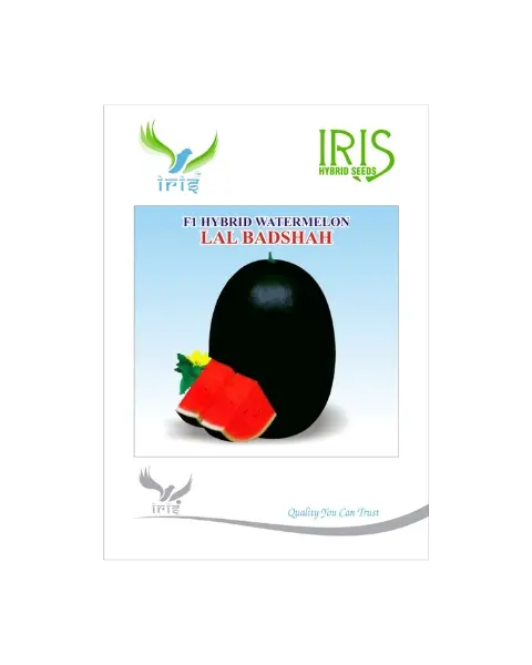 Iris Hybrid F1 Lal Badshah Watermelon Ice Box Segment 1