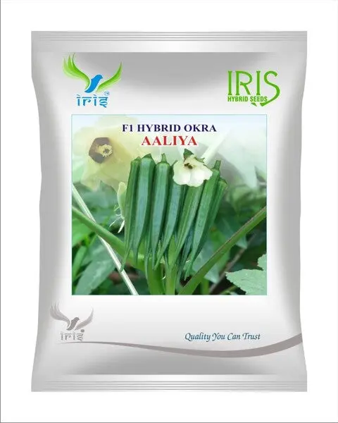 Iris Hybrid F1 Okra Aaliya 1