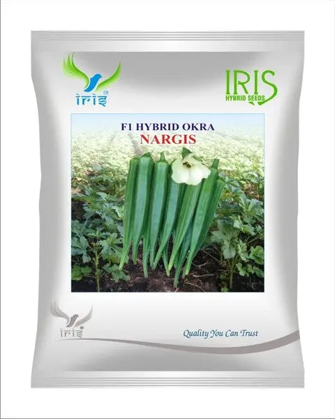 Iris Hybrid F1 Okra Nargis 1