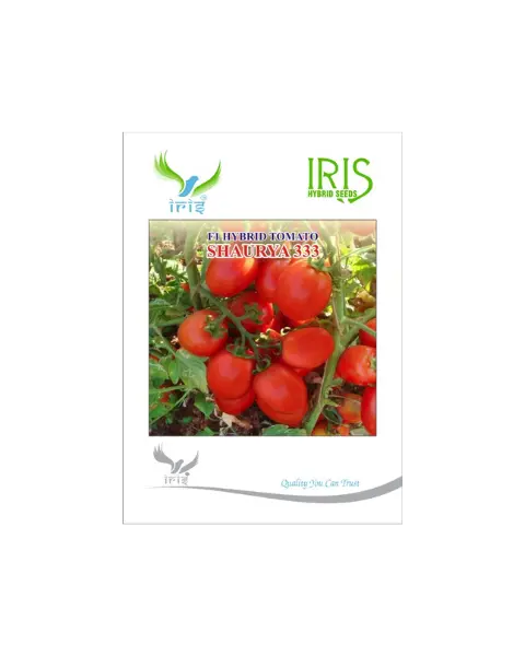 Iris Hybrid F1 Shaurya-333 Tomato 1