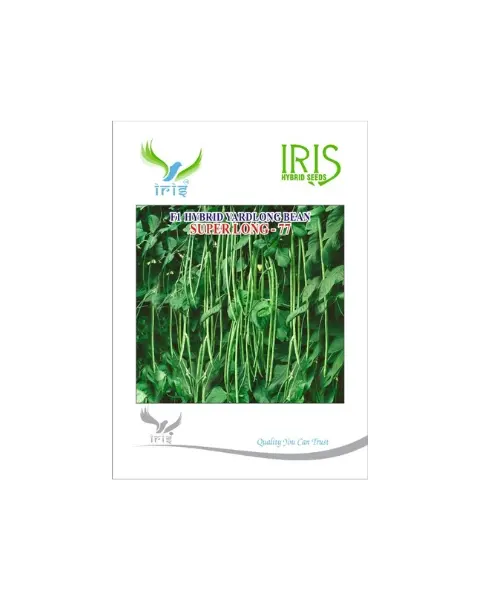 Iris Hybrid F1 Superlong-77 Yardlong Beans 1