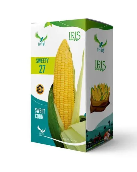 Iris Hybrid F1 Sweetcorn Sweety-27 1