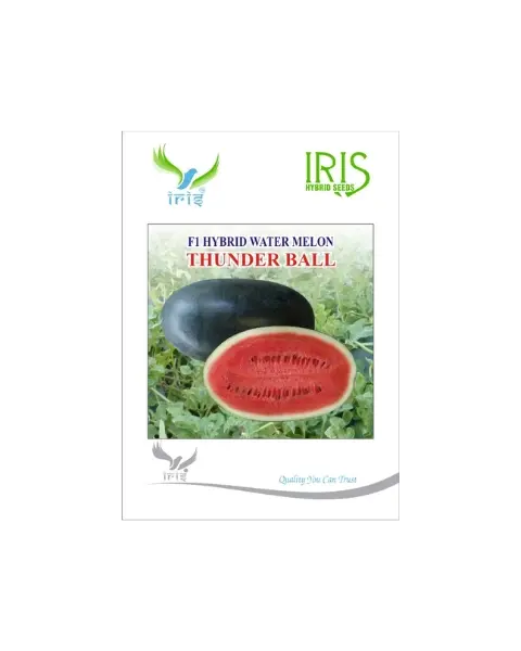 Iris Hybrid F1 Thunderball Watermelon Ice Box Segment 1
