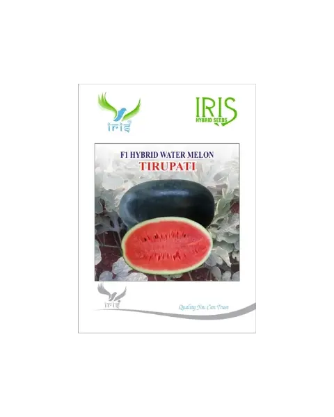 Iris Hybrid F1 Tirupati Watermelon Ice Box Segment 1