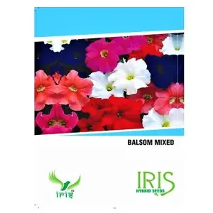 Iris Balsam Mixed Flower Seeds- White, Easy To Care, Autumn Planting 1