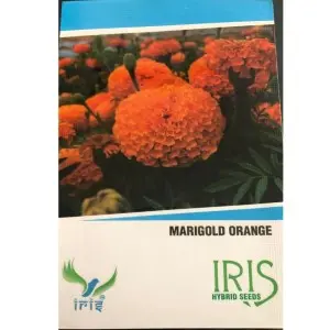 Iris Hybrid Marigold Orange Seeds - Vibrant, High Yield, Compact Flowers 1