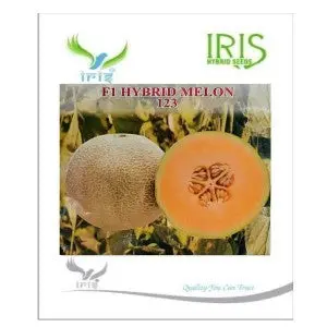 Iris 123 F1 Hybrid Musk Melon- Oval Fruit, Dense Netting, Orange Flesh 1