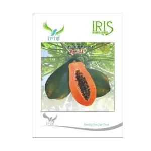Iris Hybrid Fruit Seeds Papaya Rc-217 1