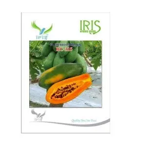 Iris Rc-315 Papaya Seeds 1