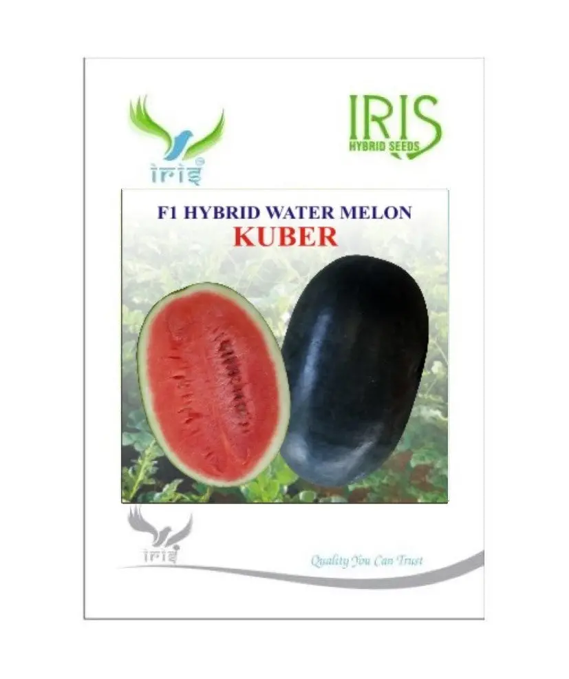 Iris Hybrid Fruit Seeds Watermelon Kuber - Sugar Baby Type Seeds 1