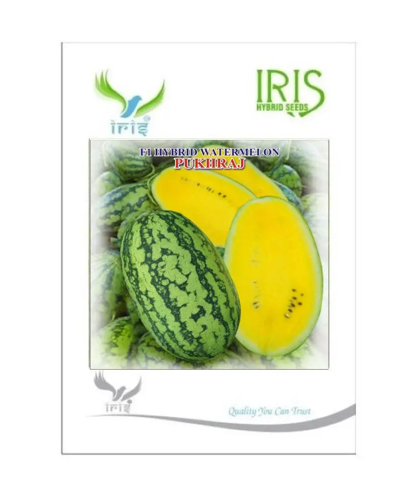 Iris Hybrid Fruit Seeds Watermelon Pukhraj - Sugar Baby Type 1