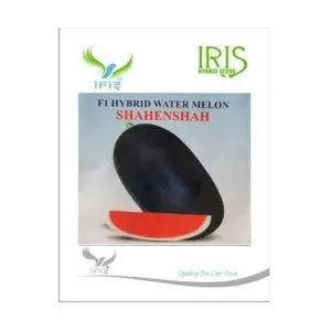 Iris Hybrid Fruit Seeds Watermelon - Shahenshah 1