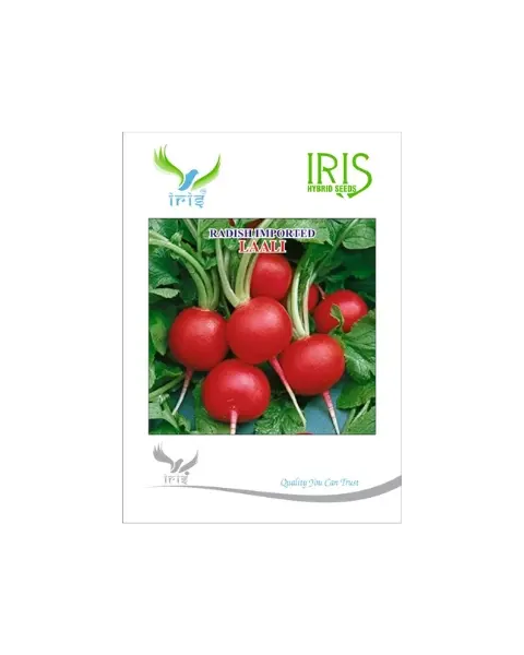 Iris Hybrid Imported Laali Radish (Red) 1